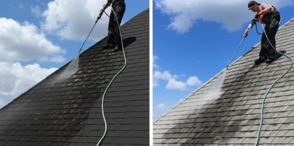 Roof Cleaning service